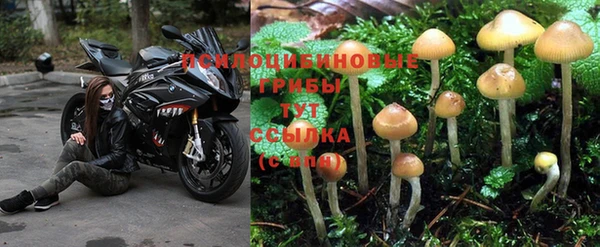 меф Инта
