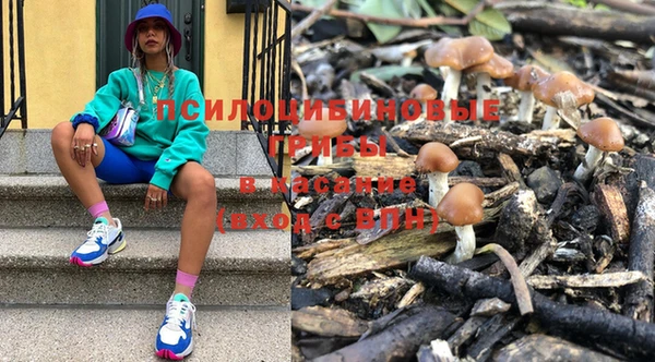 меф Инта