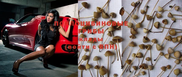 прущая мука Инсар