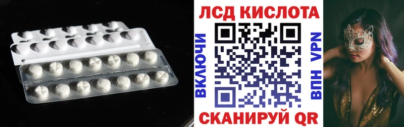как найти   Каргополь  ЛСД экстази кислота 