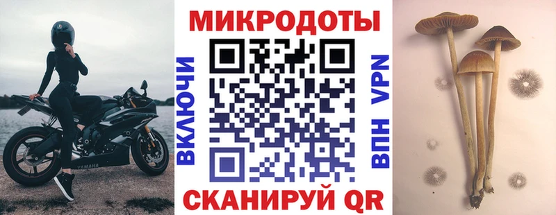 Псилоцибиновые грибы мухоморы  KRAKEN вход  Каргополь 